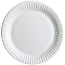 Paper Plate 6